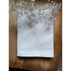 Les hortensias