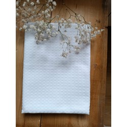 Les hortensias