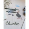 Sac poncho: L'aviateur