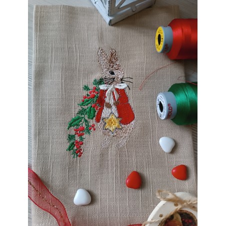 l'élégante et l'étoile de noël