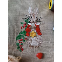 Pierre et l'étoile de noël