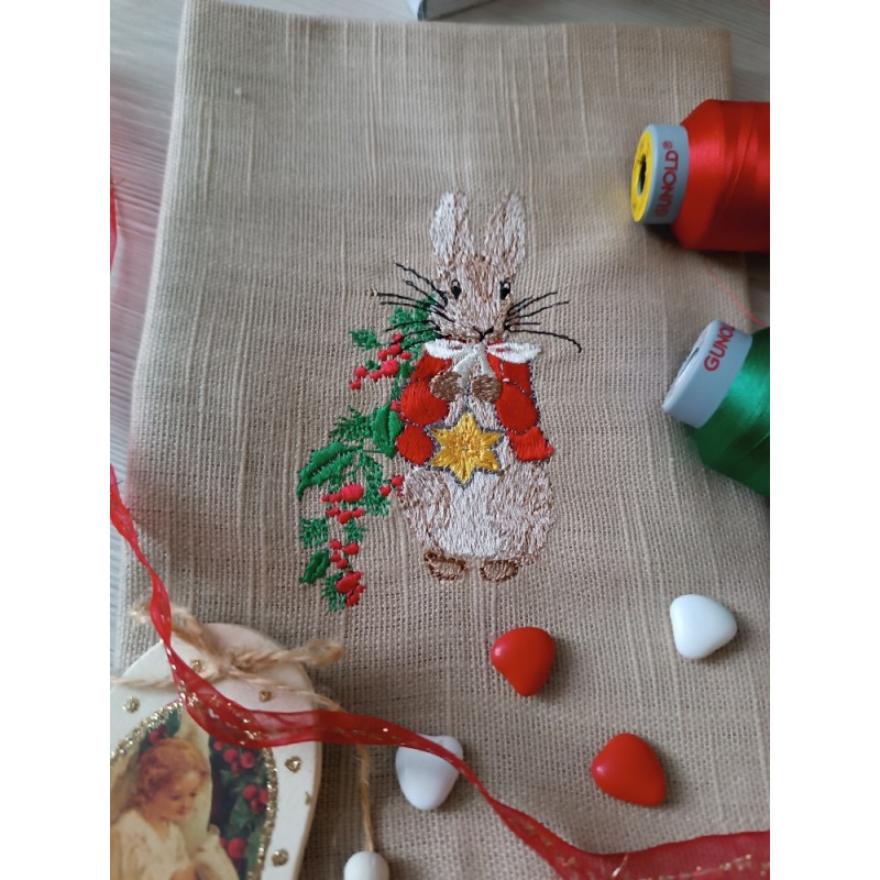 Pierre et l'étoile de noël