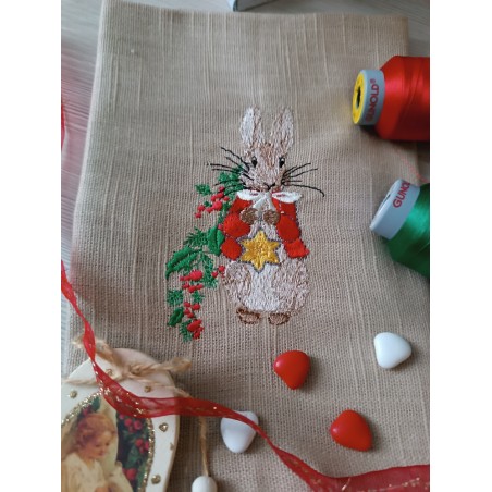 Pierre et l'étoile de noël