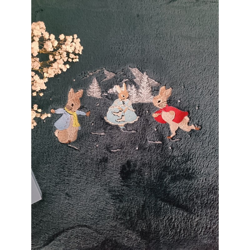 Plaid: Les as de la glisse