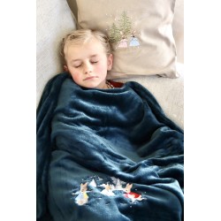 Plaid: Les as de la glisse